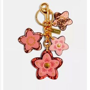 Coach wildfire cluster fob charm/ key cain. NWT. Vintage rare. 90033